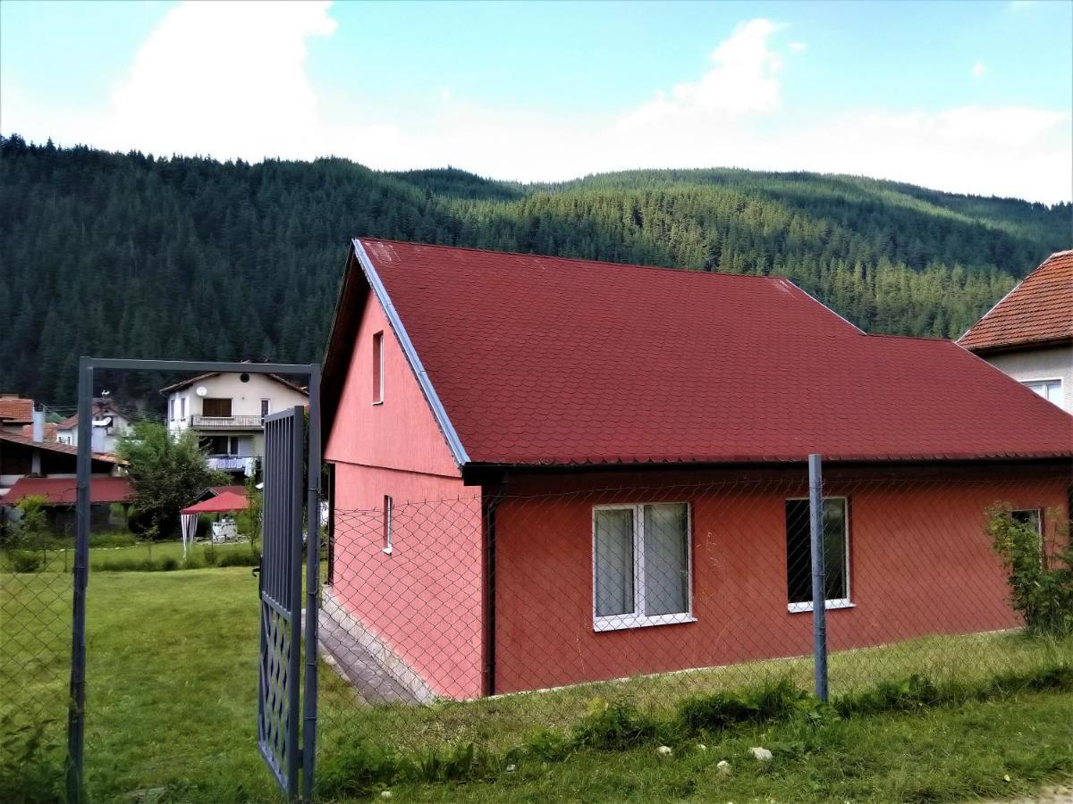VILLA IRINA - Govedartsi Exteriör bild